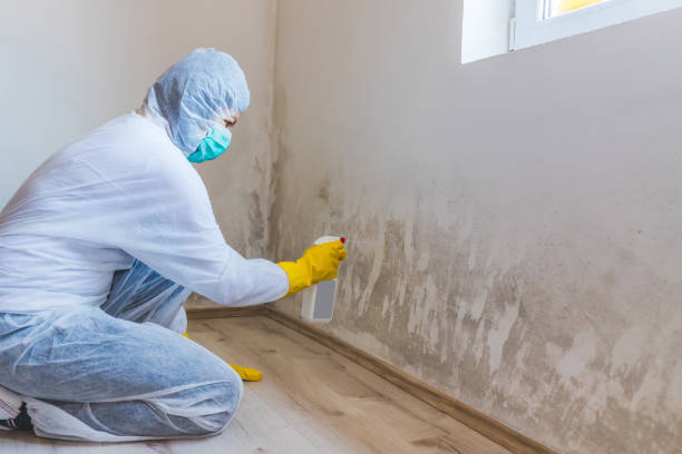 Commercial Mold Remediation assessment for commercial property in Woodville